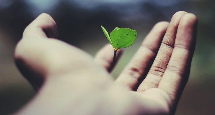 clover hand