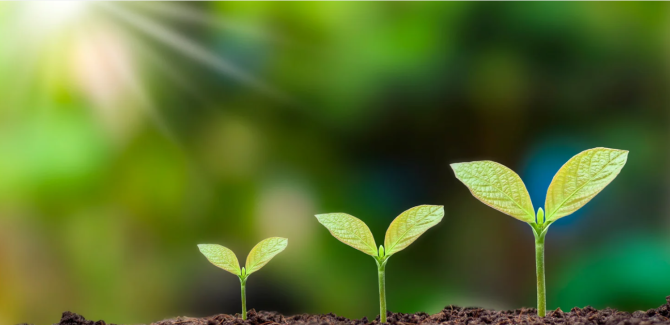 sustainability