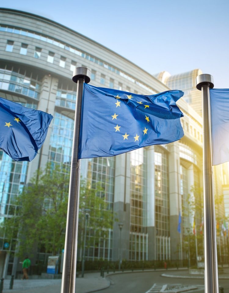 European Parliament