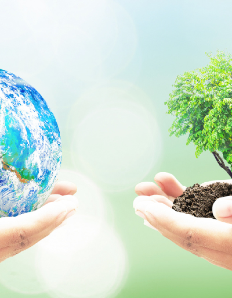 EL WLA CSR-RG seminar 2023