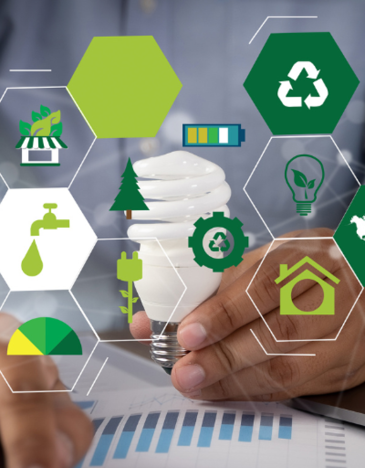 sustainable procurement.png