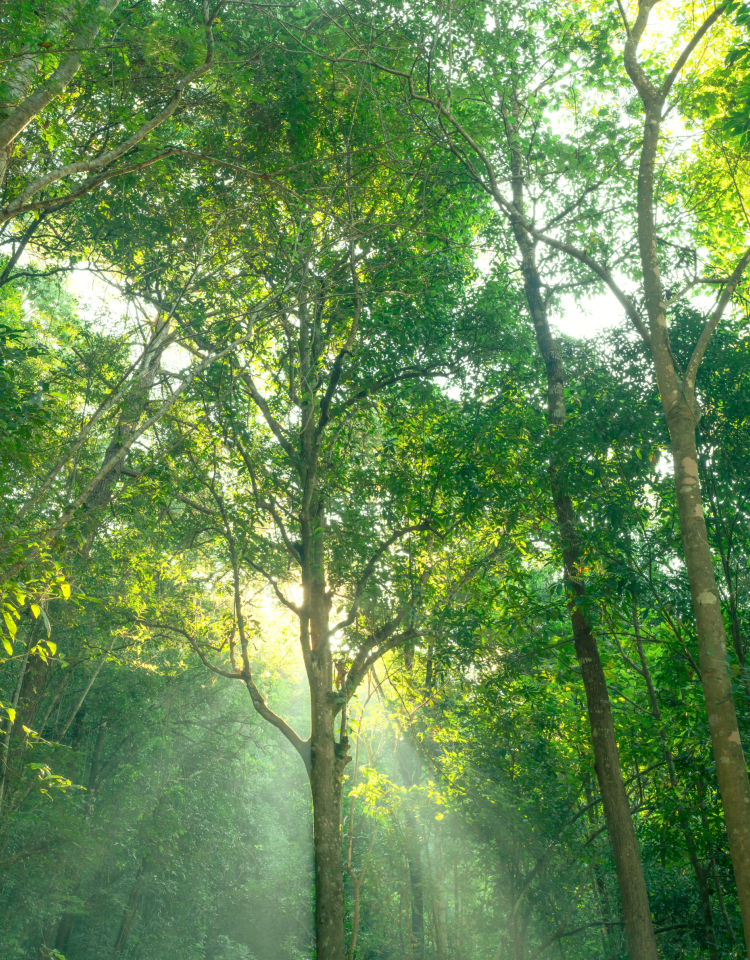 Environmental Initiative 2026