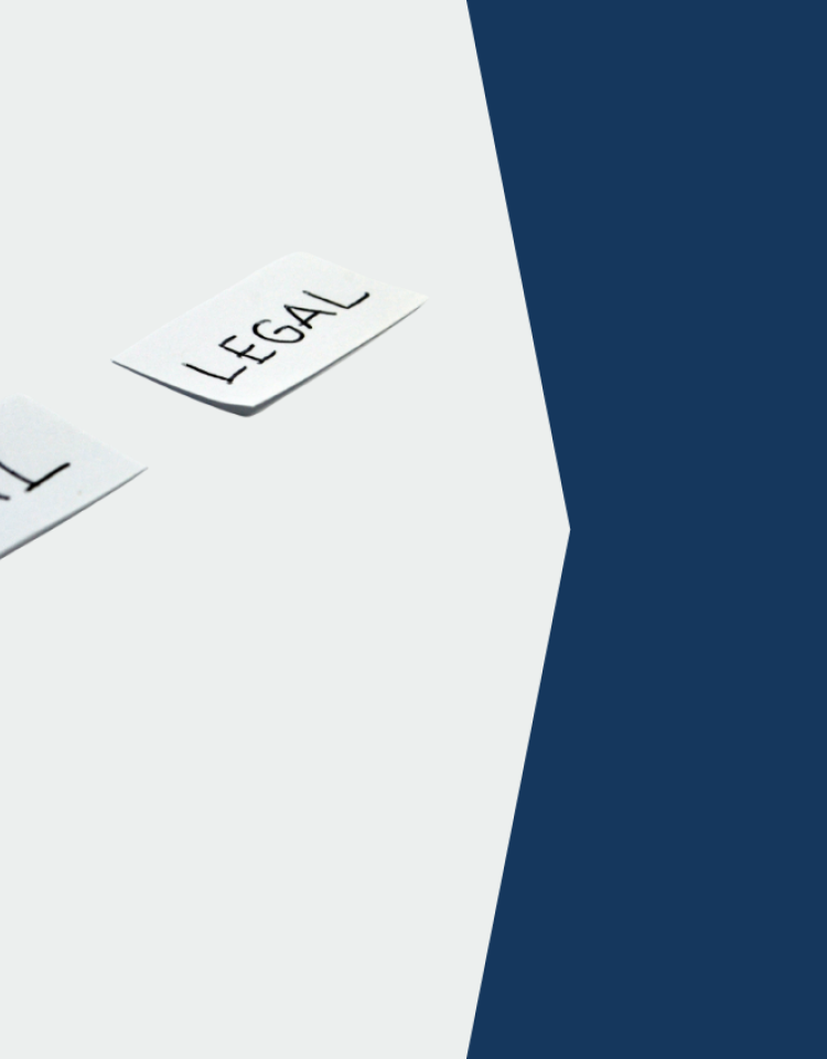 El Illegal webinar web page (1920 x 850 px) - without EL logo.png