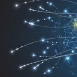 D&R seminar 2022 graphic