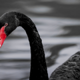 20221027 Final banner ORA 2022