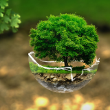 sustainability2.png