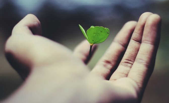 clover hand